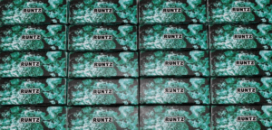 Runtz Cake Disposable