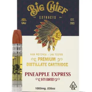 Cartucho de vapeo híbrido Big Chief Pineapple Express 1G