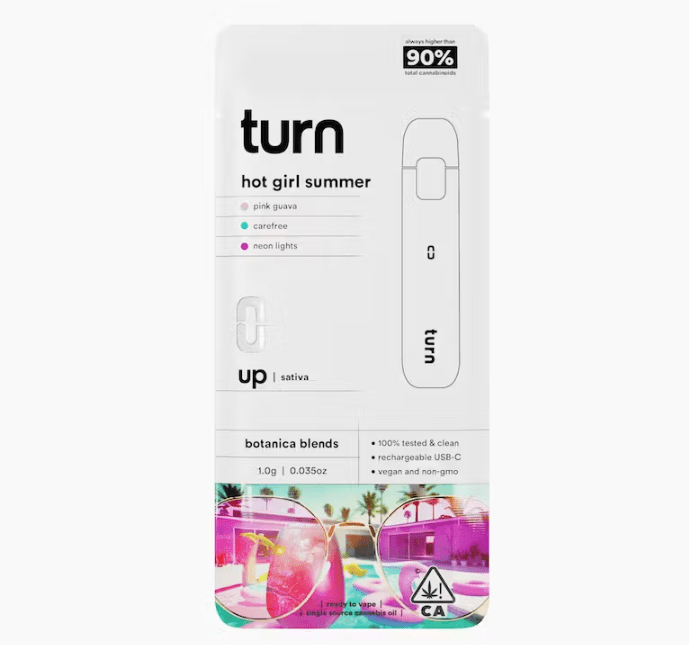 Hot Girl Summer Turn Disposable