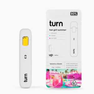 Hot Girl Summer Turn Disposable