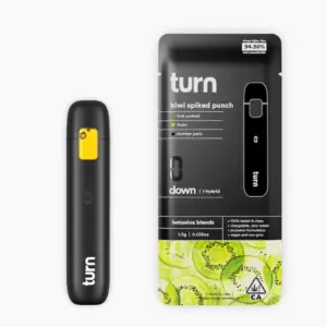 Kiwi Spiked Punch Turn Disposable