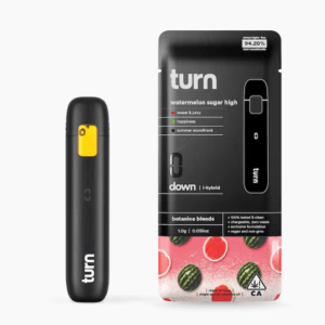 Watermelon Sugar High Turn Disposable