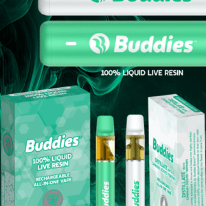 BUDDIES AIO