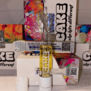 Ice Cream Cake Cart she hits different disposable