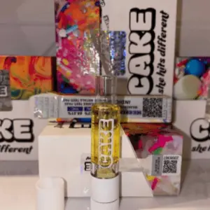 Ice Cream Cake Cart she hits different disposable