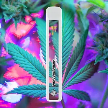 Cake Cryo Cured Resin disposable 1G - size comparison