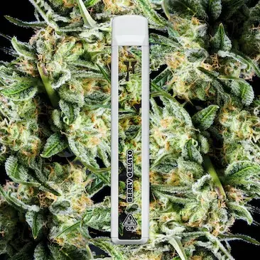 Cake Cryo Cured Resin disposable 1G - packaging back