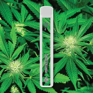 Cake Cryo Cured Resin disposable 1G - authentication sticker