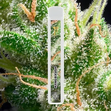 Cake Cryo Cured Resin disposable 1G - flavor label