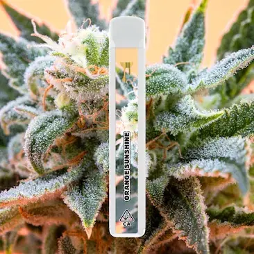 Cake Cryo Cured Resin disposable 1G - box and device