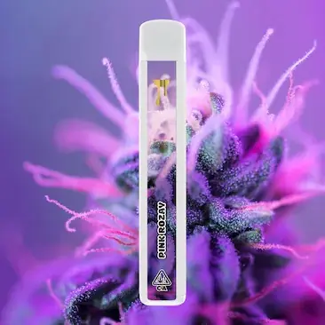 Cake Cryo Cured Resin disposable 1G - mouthpiece detail