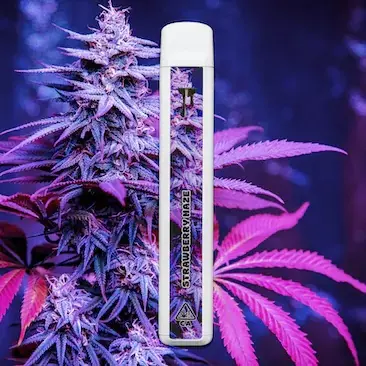 Cake Cryo Cured Resin disposable 1G