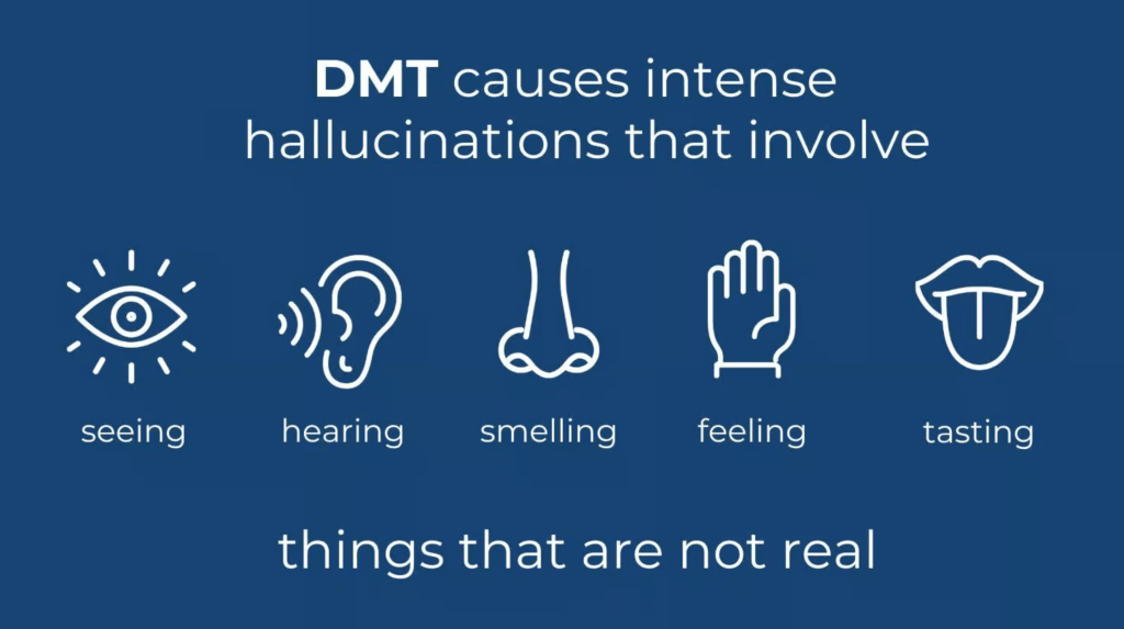 How Long Does DMT Last