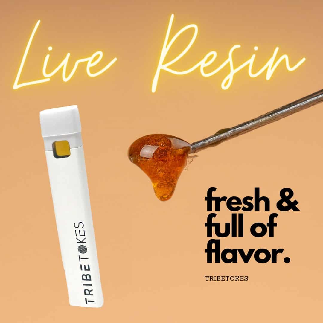TribeTokes Live-Resin-Einweg-Vape-Pen neben einem Tupfer Live-Harz